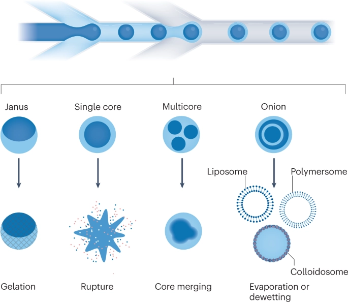 Fluidic Microactuators Mixing Conferences